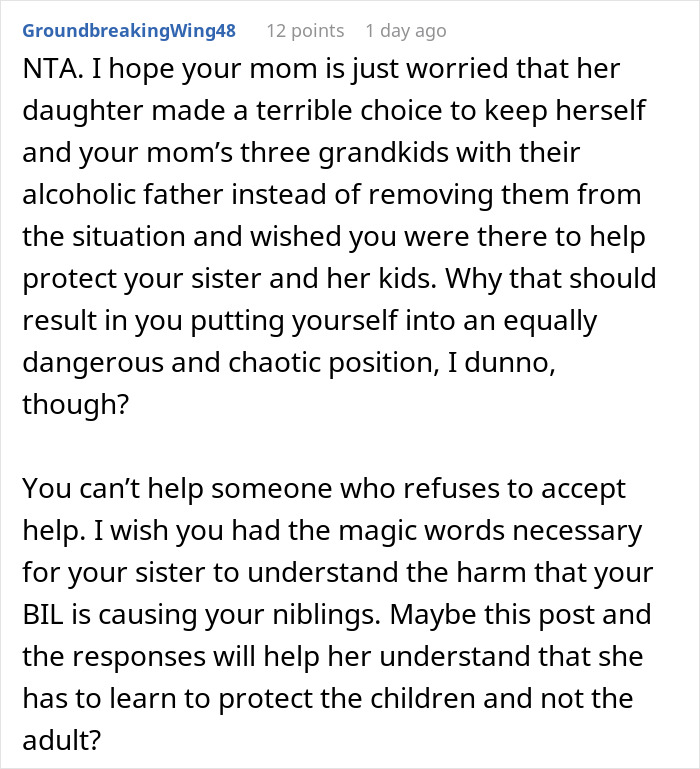 Reddit comment discussing concerns about a mother refusing to remove kids from an alcoholic father.