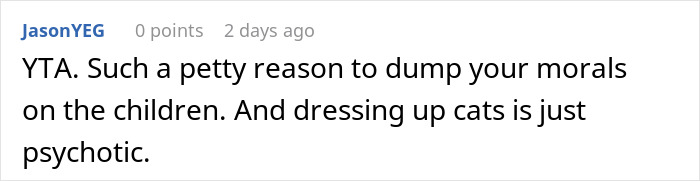 Text comment criticizing refusal to babysit kids, highlighting the behavior as petty and mentioning dressing up cats.