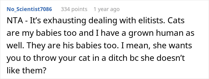 Hubby’s Aunt Slams Mom For Having Cat Around Baby, She Kicks Her Out And Internet Isn’t Sympathetic Hubby’s Aunt Slams Mom For Having Cat Around Baby, She Kicks Her Out And Internet Isn’t Sympathetic