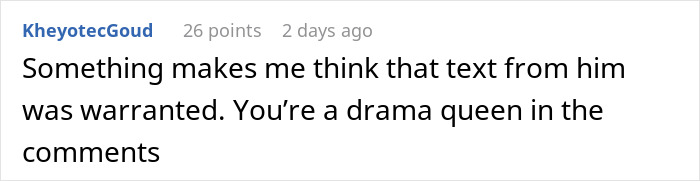 Reddit user comments on assumed firing, calling someone a "drama queen" in the replies.