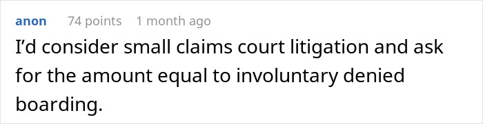 Comment suggesting small claims court after passenger asked to leave plane due to obese seatmate complaint.