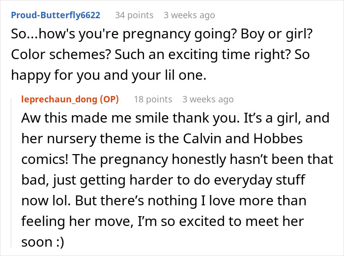 Reddit conversation about pregnancy, nursery themes, and excitement.