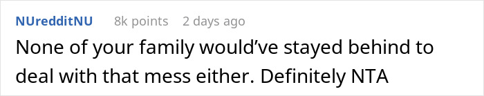 Reddit comment supporting woman who didn't miss flight over husband's drunken incident.