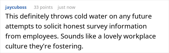 Comment criticizing YesMadam's employee survey methods amid the firing controversy.