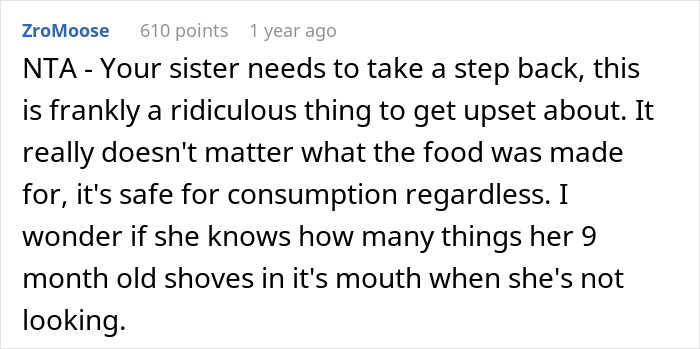 Sister’s Meltdown Leaves Woman Questioning: “AITA For Giving My Niece ‘Dog Food’?” Sister’s Meltdown Leaves Woman Questioning: “AITA For Giving My Niece ‘Dog Food’?”