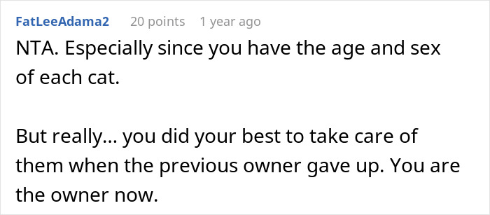 Text from online discussion about rehoming a cat, emphasizing new ownership responsibility. Text from online discussion about rehoming a cat, emphasizing new ownership responsibility.