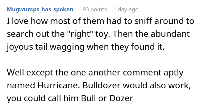 Text discussing dogs searching for toys, with a humorous mention of a dog named Hurricane or Bulldozer.