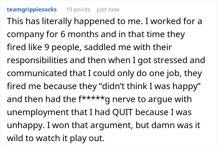 Reddit comment about YesMadam controversy over firing employees, expressing frustration and stress.