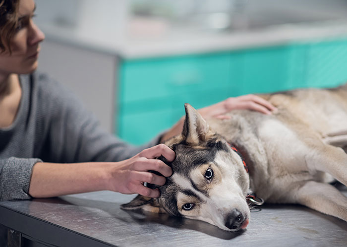 25 comentarios impactantes que cambiaron por completo la forma en la que la gente veía a su pareja