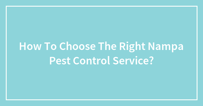 How To Choose The Right Nampa Pest Control Service?