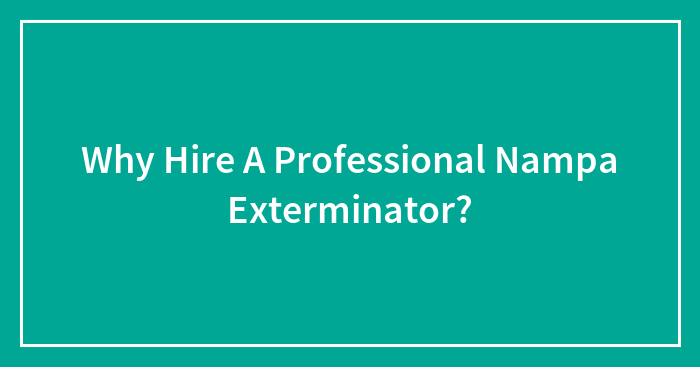 Why Hire A Professional Nampa Exterminator?