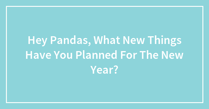 Hey Pandas, What New Things Have You Planned For The New Year? (Closed)