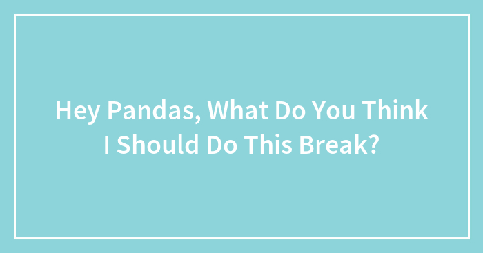 Hey Pandas, What Do You Think I Should Do This Break? (Closed)