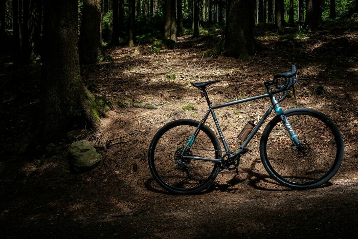 Bicycle left alone in a shadowy forest, sunlight illuminating its frame, creating an eerie scene.