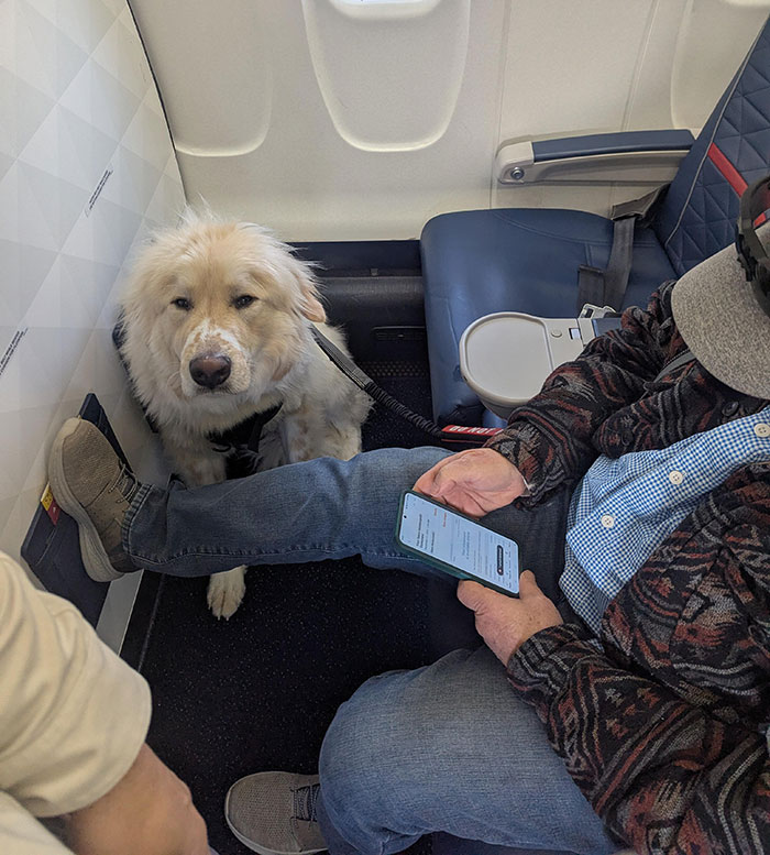 Passenger Gets Dragged For Complaining About Plane Seat He Lost To Dog: “Sorry Dude, Money Talks” Passenger Gets Dragged For Complaining About Plane Seat He Lost To Dog: “Sorry Dude, Money Talks”