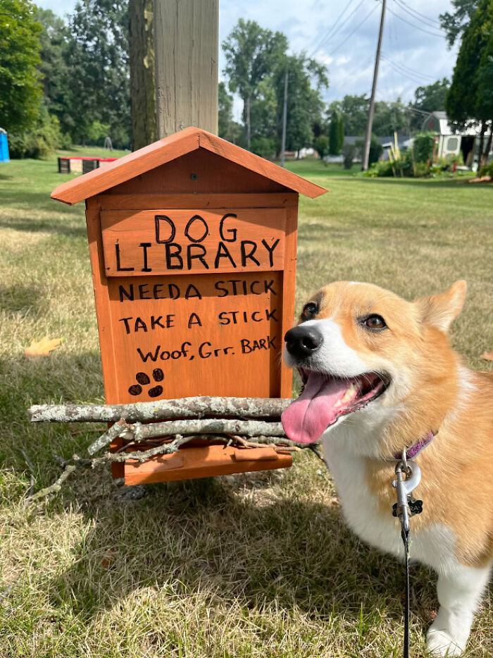 Corgi next to a dog library offering sticks, showcasing a viral idea for dogs worldwide. Corgi next to a dog library offering sticks, showcasing a viral idea for dogs worldwide.