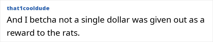 Comment on McDonald&rsquo;s reviews mentioning rats after Luigi Mangione's arrest.