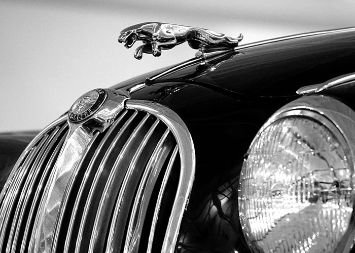 Close-up of a Jaguar car hood ornament, representing luxury amidst CEO fails.