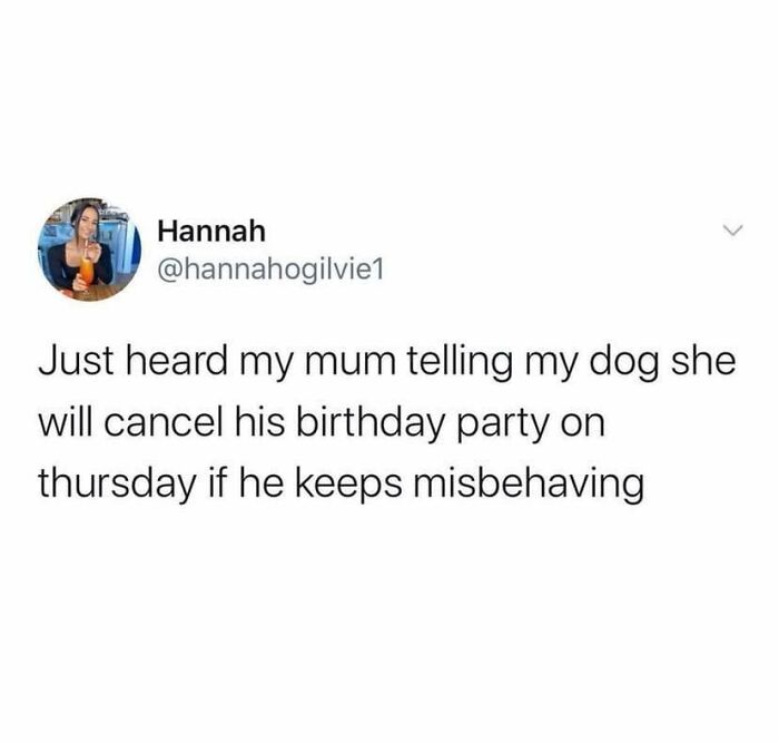 Tweet about a mother threatening to cancel a dog's party, showcasing British humor.