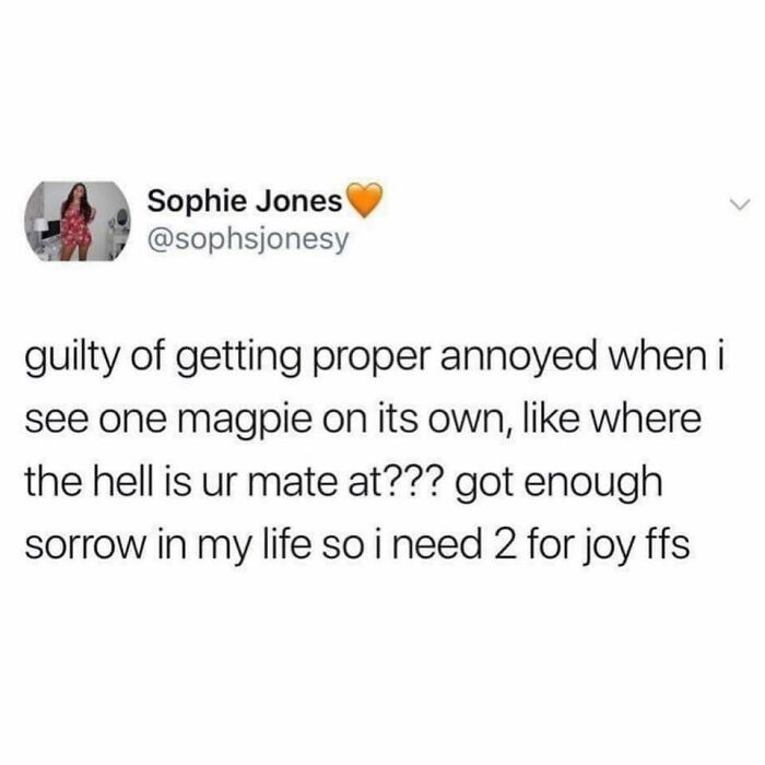 Tweet expressing British humor about seeing one magpie and needing two for joy.