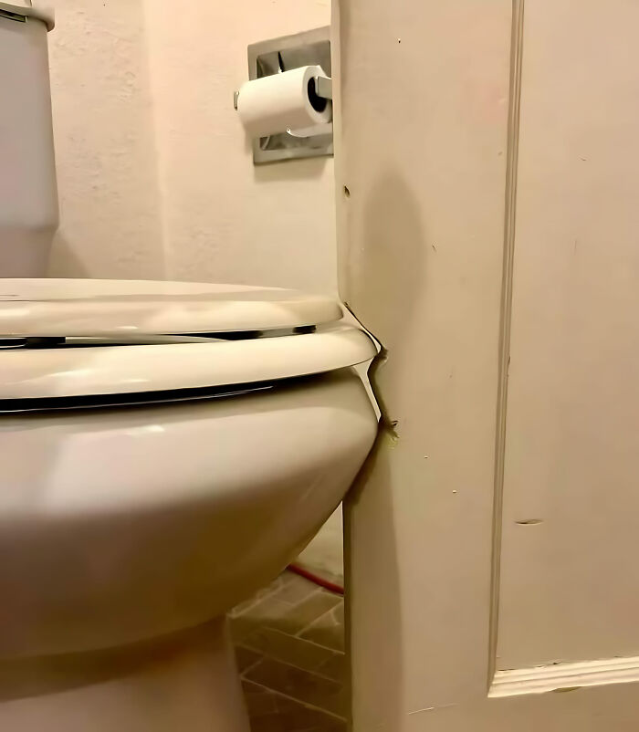 Toilet seat trapped behind door, a hilarious construction fail.