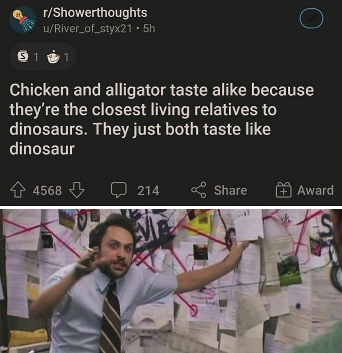 Text meme about dinosaurs, comparing chicken and alligator taste, with a humorous image of a man gesturing at a conspiracy board.