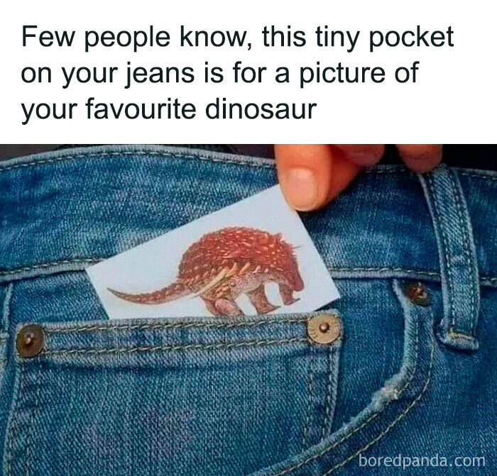 Jeans pocket with a dinosaur photo, humorously fitting the tiny space.