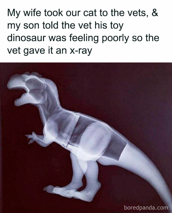 X-ray of a toy dinosaur with a humorous text about a vet visit, showcasing prehistoric humor.