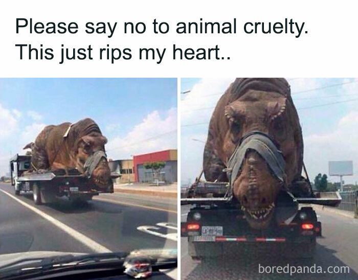 Dinosaur toy on a truck with a humorous sign about animal cruelty, showcasing prehistoric humor.