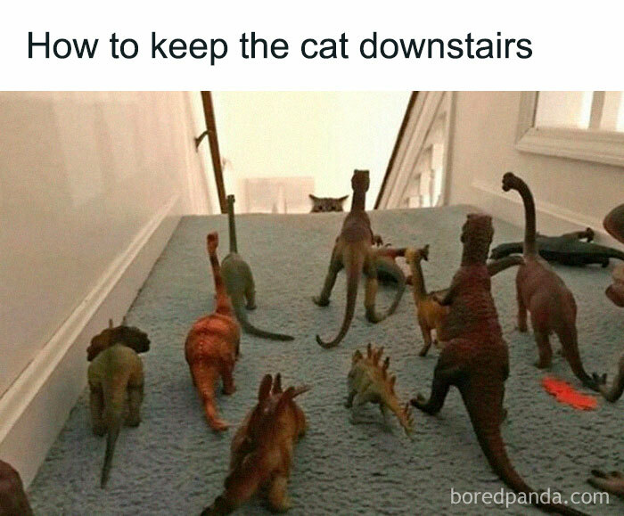 Toy dinosaurs on stairs with a cat at the top, capturing a humorous prehistoric scene.