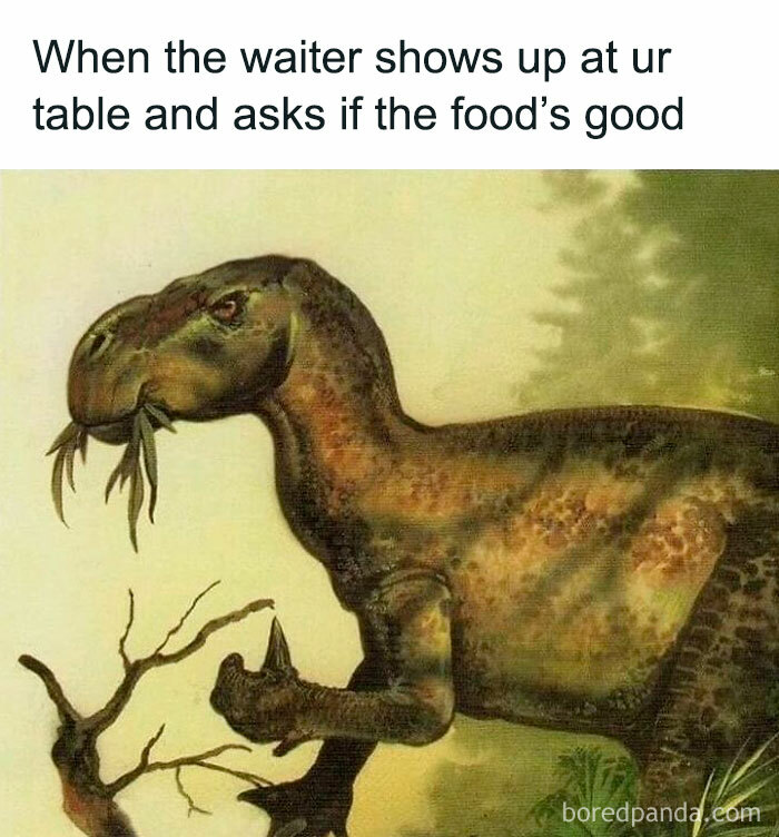 Dinosaur meme with a caption about a waiter asking if the food's good, featuring a herbivore with plants in its mouth.