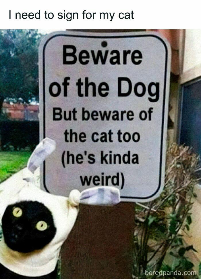 Funny pet meme featuring a cat in a costume next to a humorous beware sign about strange cats.