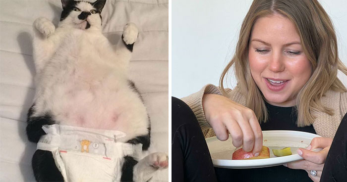 50 Hilarious Pregnancy Photos That Might Make You Laugh ’Til Your Belly Hurts (New Pics)