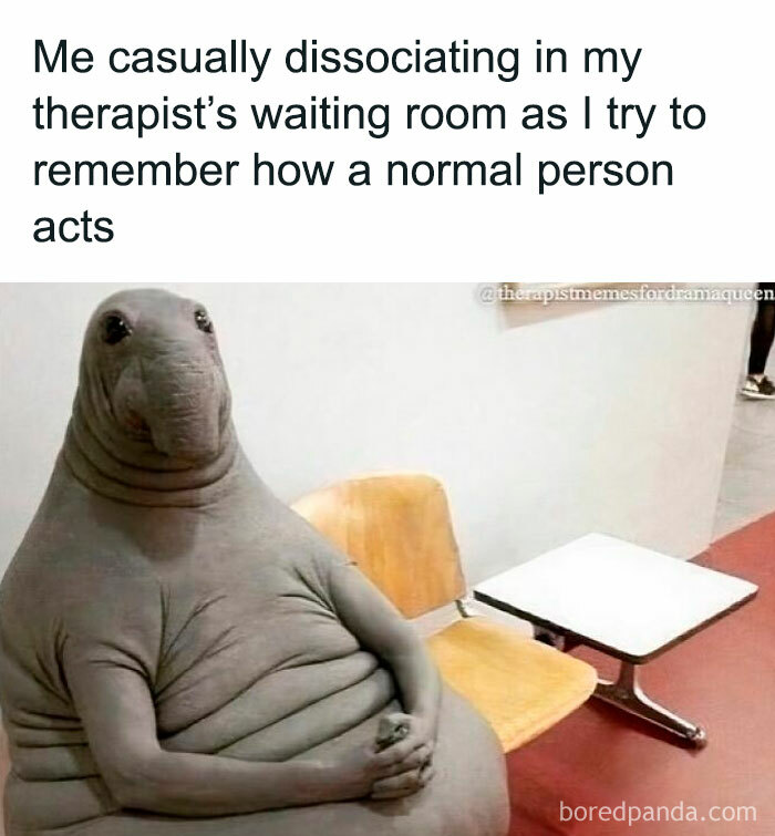 Therapy meme featuring a seal-like creature humorously sitting in a waiting room chair.