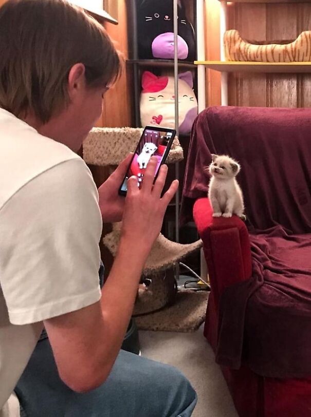 Person photographing a smiling kitten sitting on a couch, capturing its happiness in a cozy room.