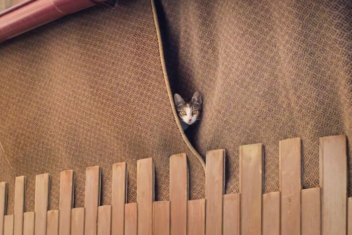 Fun Accidental Moments Captured By This Street Photographer (20 New Pics)