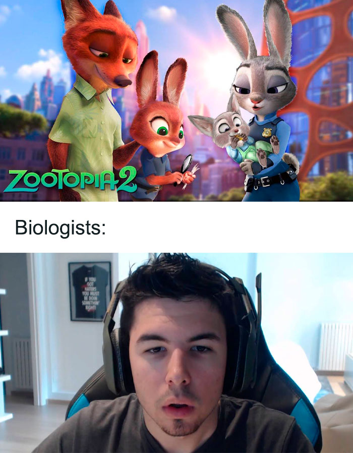Zootopia characters studying biology, below a surprised person in a headset, highlighting humor in science memes.