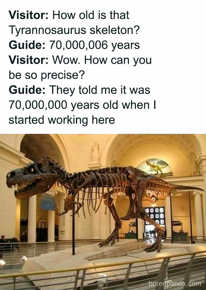 Tyrannosaurus skeleton in a museum, humorously described as 70,000,006 years old, combining science knowledge with humor.