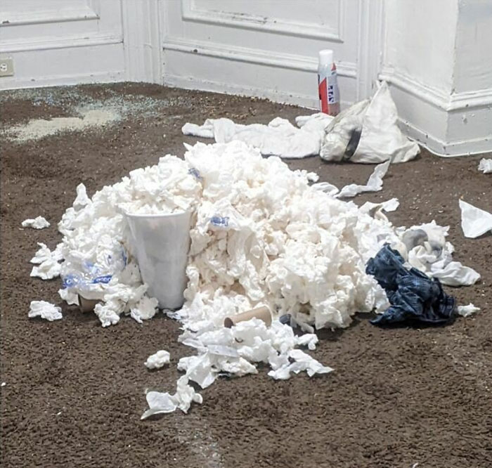 La persona menos higiénica que he conocido se acaba de mudar y ha dejado esto. Es exactamente lo que esperas que no sea.