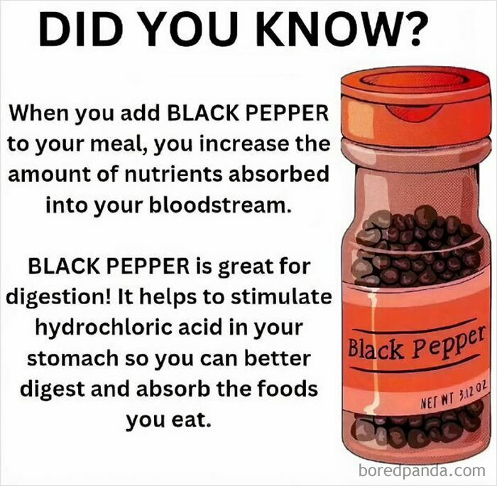 Black pepper aids digestion, enhances nutrient absorption, and stimulates hydrochloric acid for better food breakdown.