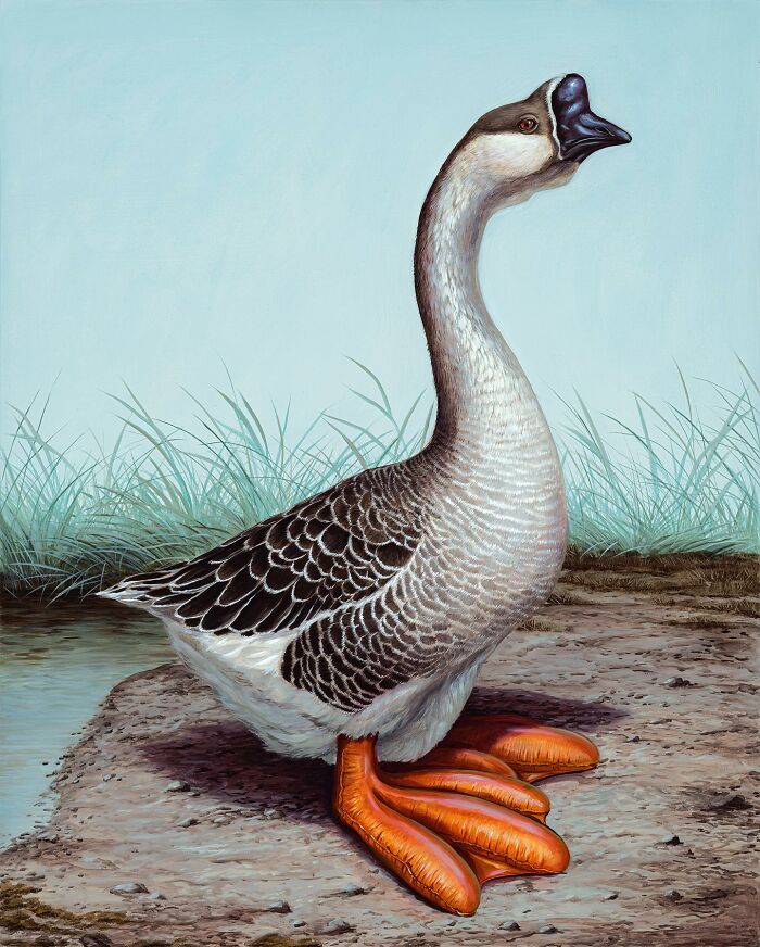 Surreal painting by Bruno Pontiroli featuring a goose with oversized webbed feet on a grassy shoreline.
