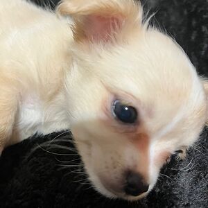 kimberlybailey_2 avatar