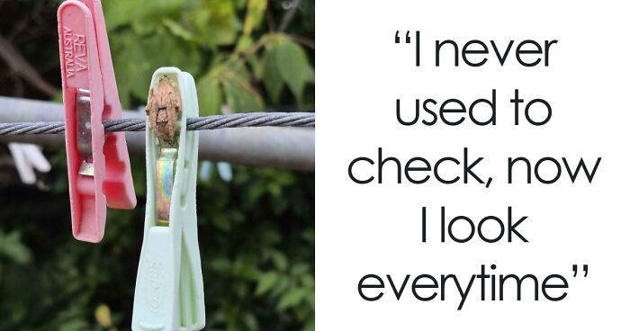 This Online Community Celebrates The Land Of ‘Nope’, Here Are 30 Of The Most Interesting Posts (New Pics)