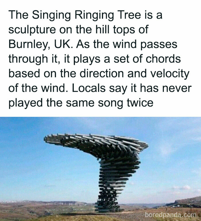 Singing Ringing Tree sculpture in Burnley, UK, creates unique melodies with wind, an interesting fact for stress relief.