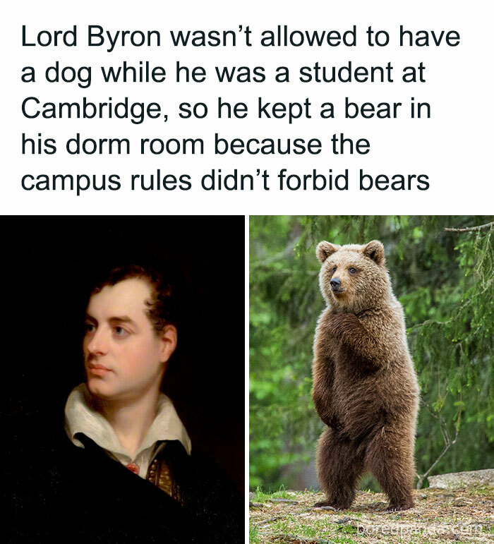 Portrait of a man next to a standing bear; an example of interesting facts and curiosities.