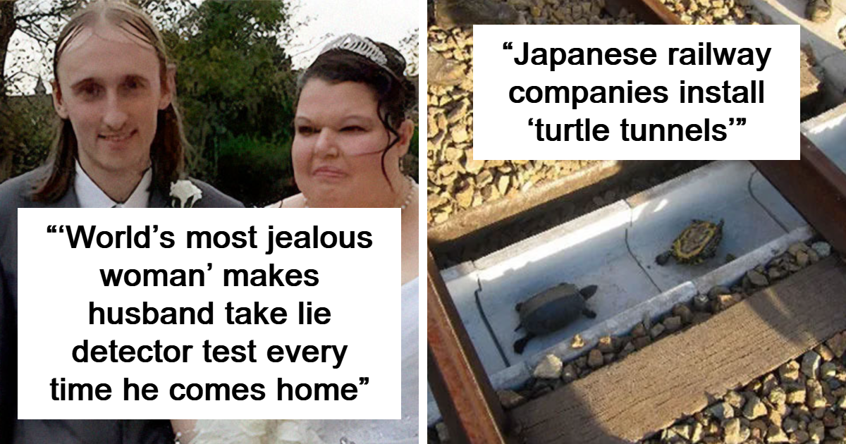 48 Interesting Facts And Curiosities