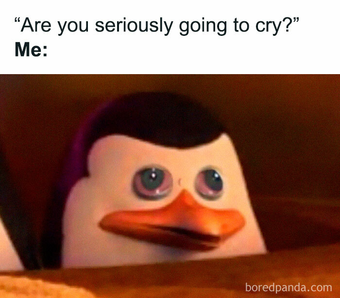 Penguin meme with wide eyes reacting to social anxiety and introverted moments.