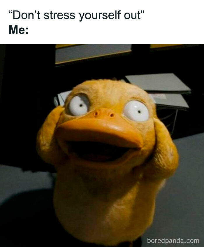 Anxious duck meme with wide eyes and text: "Don't stress yourself out. Me:"