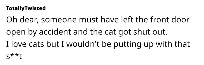 Text screenshot discussing a hostile cat outdoors during Xmas.