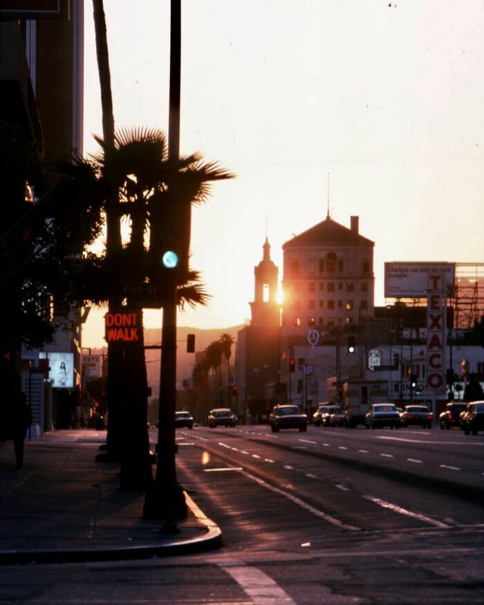 1970s West Coast street scene at sunset with vintage cars and palm trees.